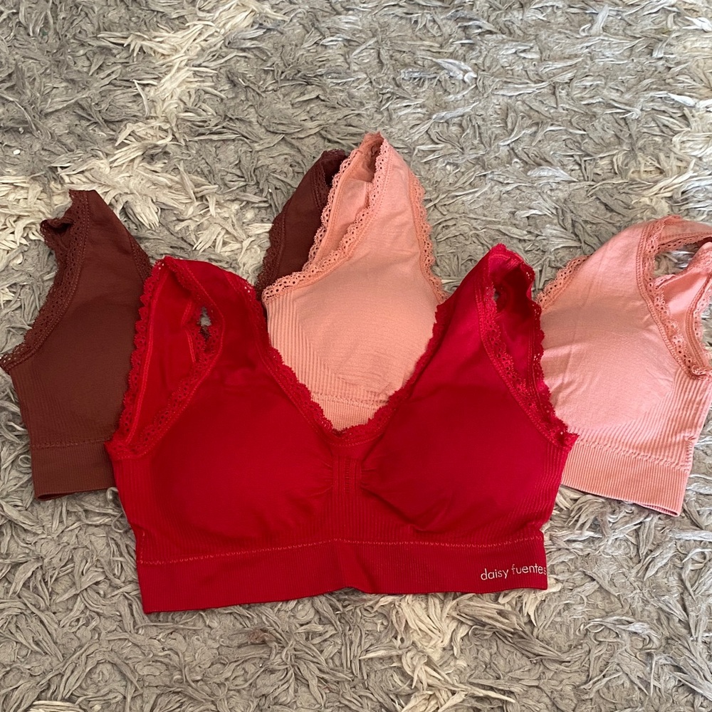 Daisy Fuentes Lace Bralette Trio - Red, Pink, Brown